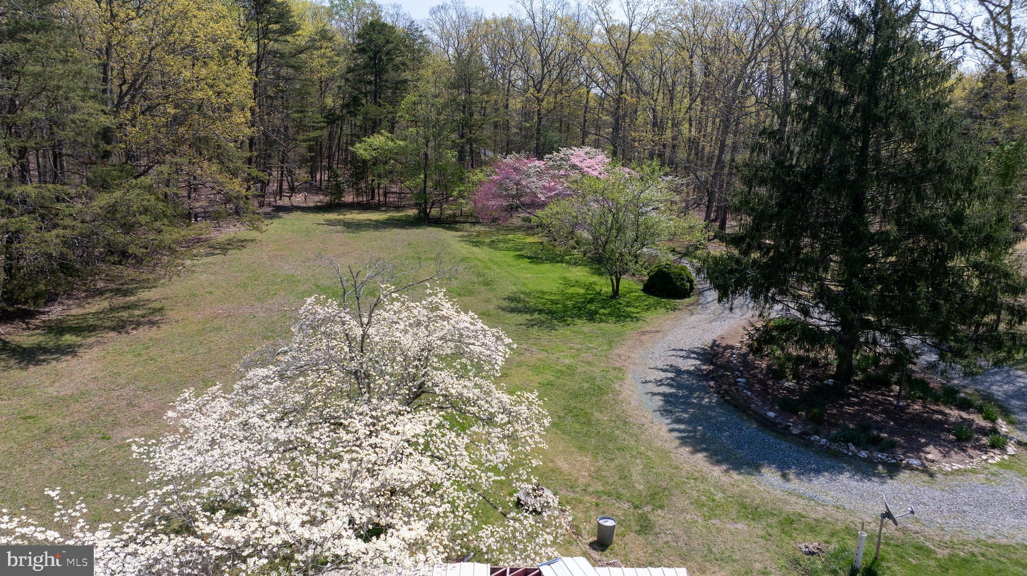 517 Doctors Road Louisa, VA 23093 - Photo 75 of 83