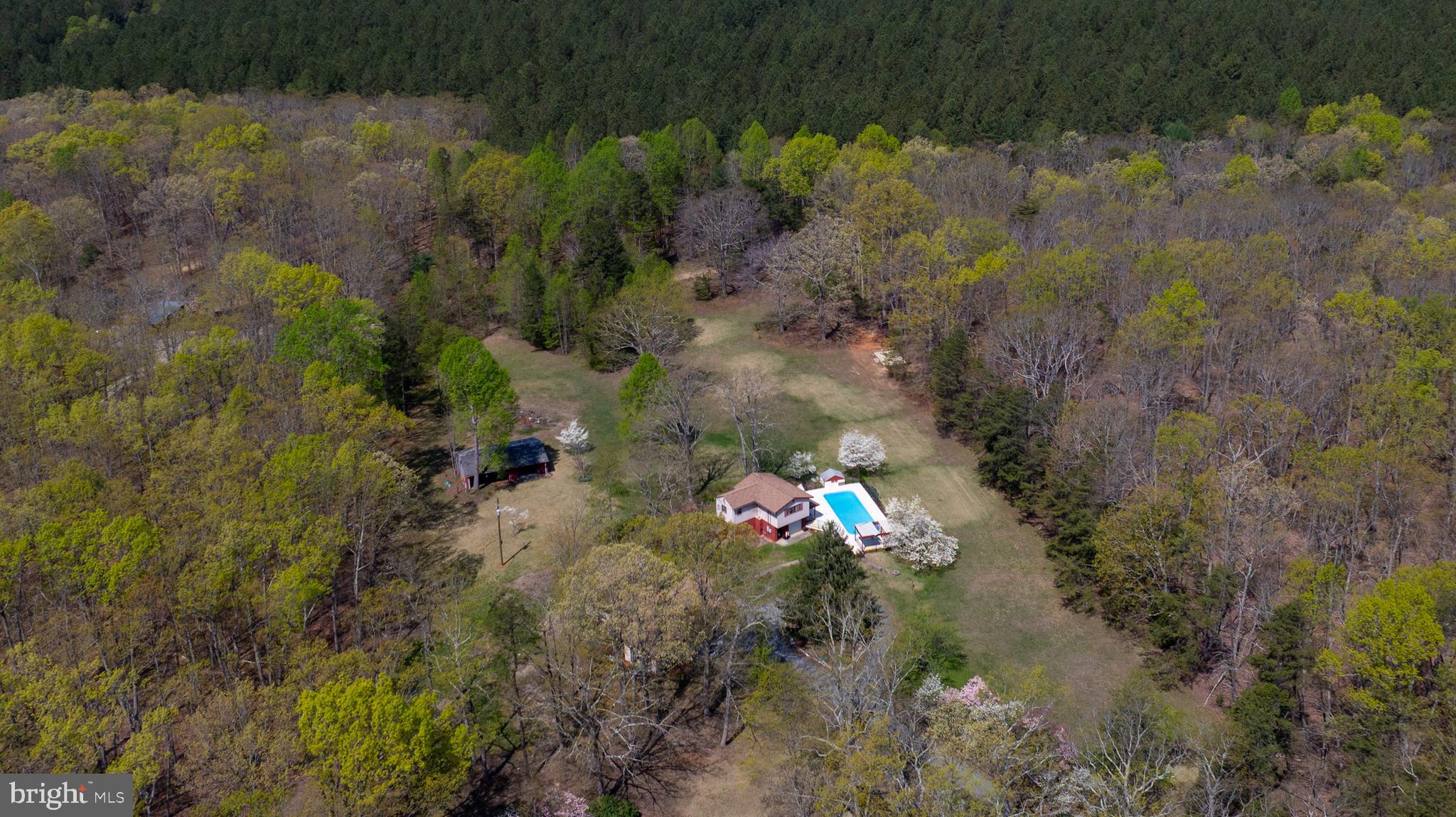 517 Doctors Road Louisa, VA 23093 - Photo 78 of 83 a view of a lake with a yard and large trees all around