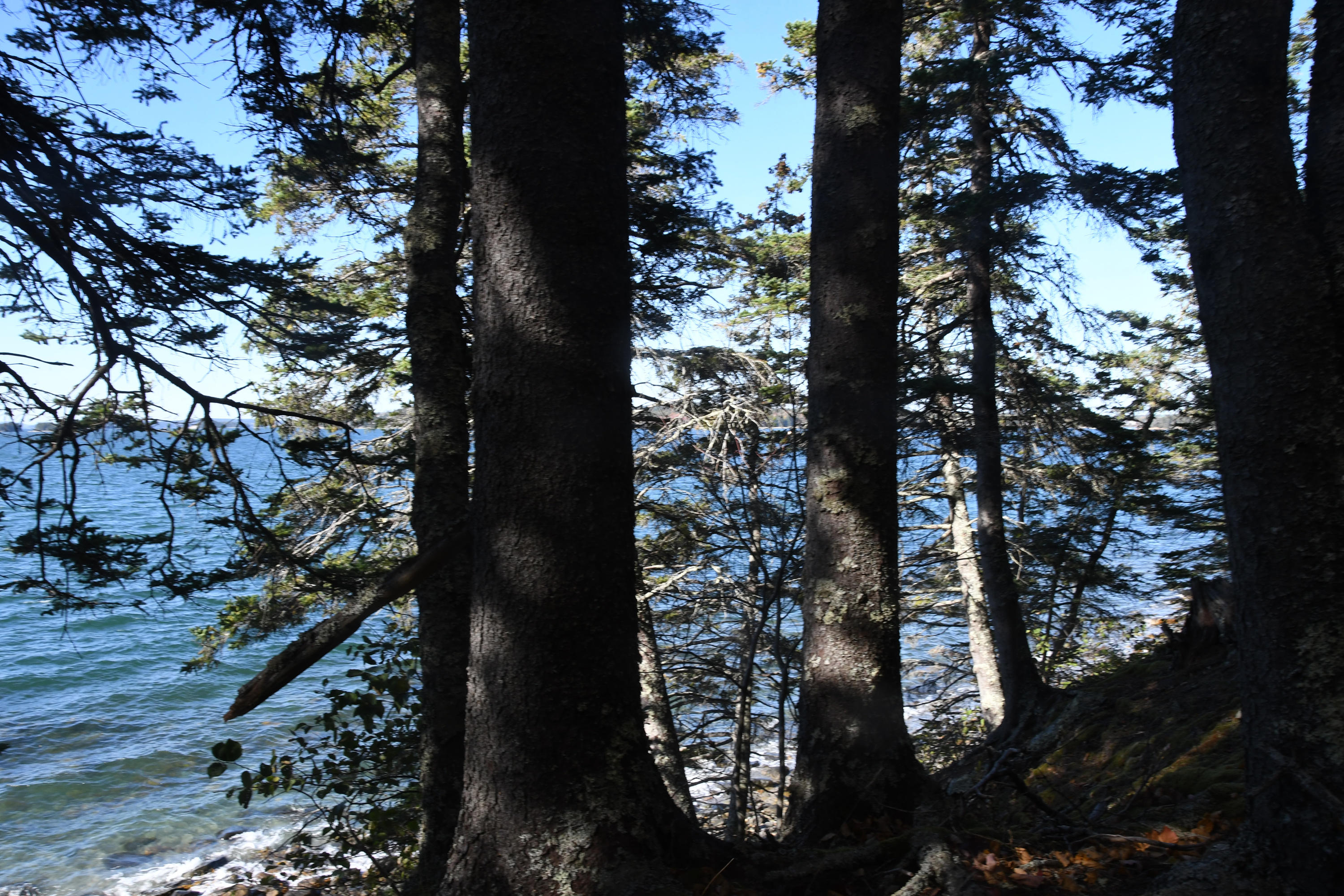 01 North Deer Isle Road Deer Isle, ME 04627 - Photo 31 of 34 20171021_AnneKeck_035