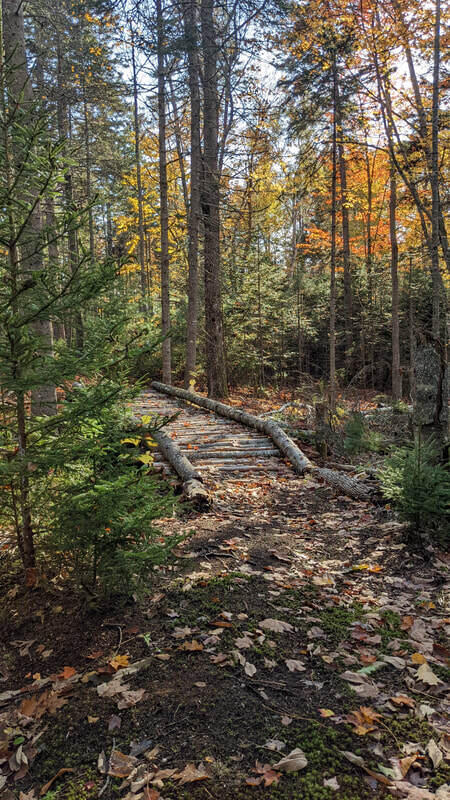 880 Castine Road Castine, ME 04421 - Photo 50 of 50 Hiking trail on property