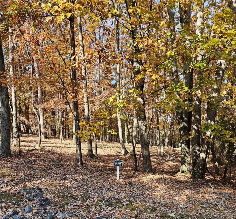 400 Pinnacle Trail Denton, NC 27239 - Photo 2 of 9 Lot 13