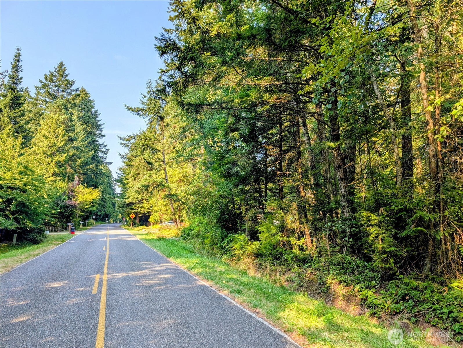 2 Mill Road Point Roberts, WA 98281 - Photo 7 of 10 a view of a yard with plants and trees