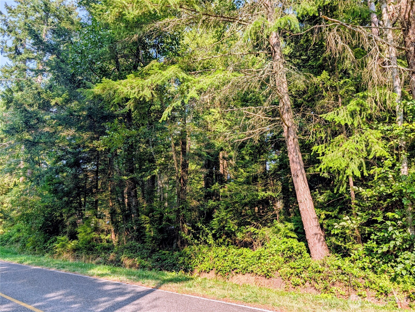 2 Mill Road Point Roberts, WA 98281 - Photo 8 of 10 a view of a garden