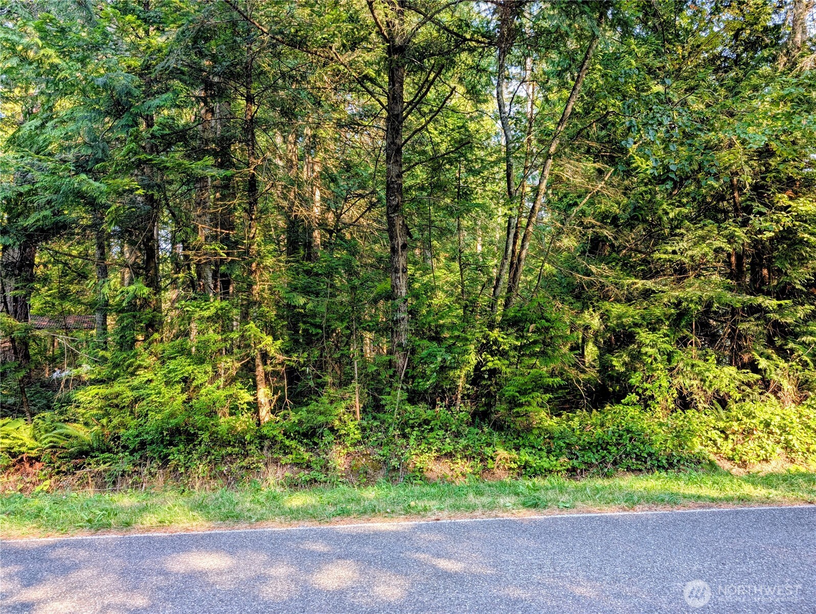 2 Mill Road Point Roberts, WA 98281 - Photo 9 of 10 a view of a garden with plants