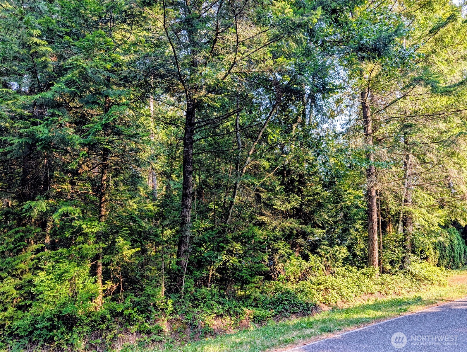 2 Mill Road Point Roberts, WA 98281 - Photo 10 of 10 a view of a yard with plants