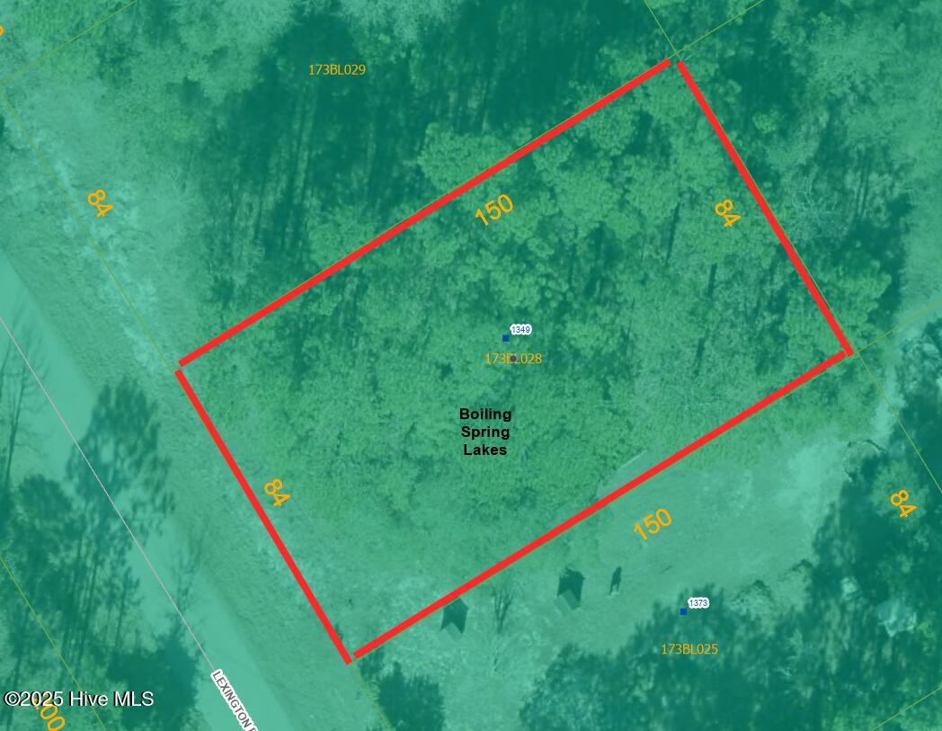 1349 Lexington Road Southport, NC 28461 - Photo 15 of 29 PK 1349 Lexington Rd