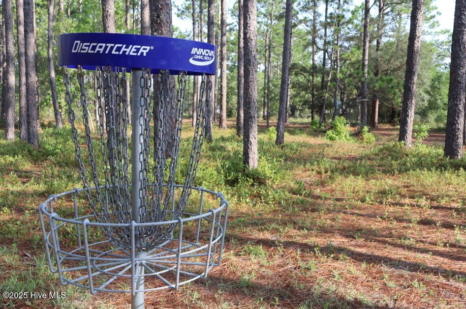 1349 Lexington Road Southport, NC 28461 - Photo 22 of 29 Disc Golf4