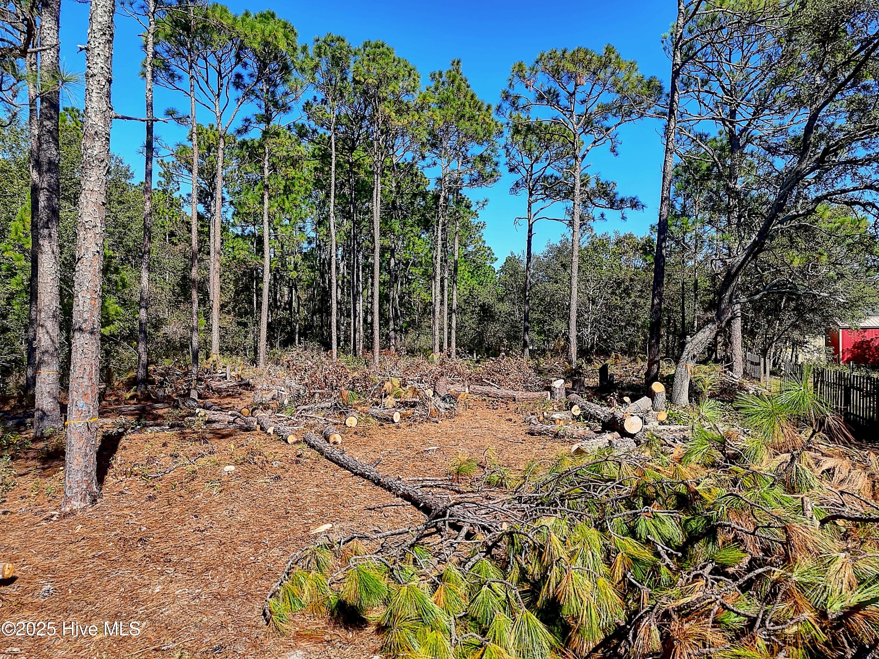 1349 Lexington Road Southport, NC 28461 - Photo 4 of 29 1349LexingtonRd - 4