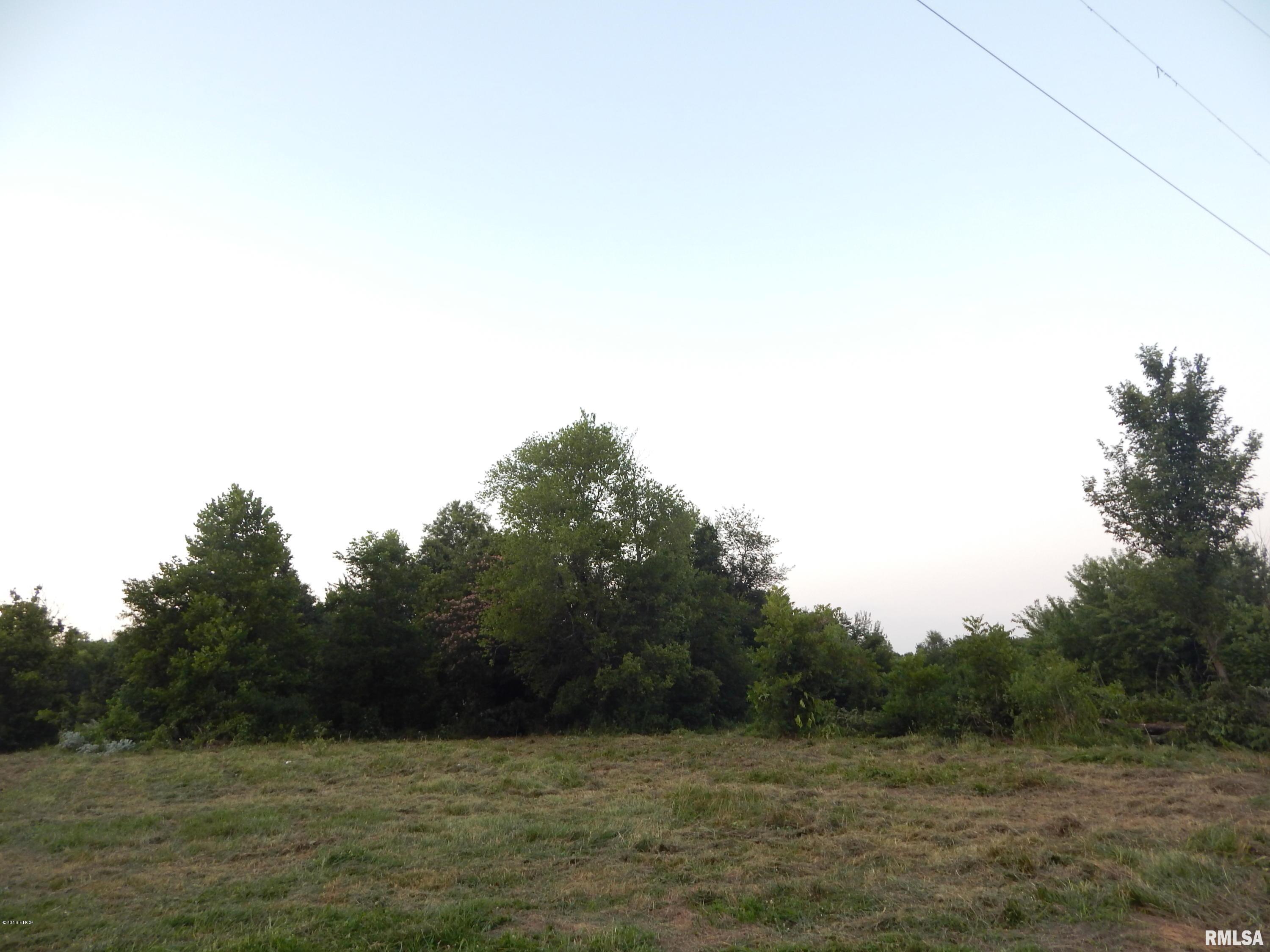 Tbd New Dennison Road Marion, IL 62959 - Photo 3 of 9