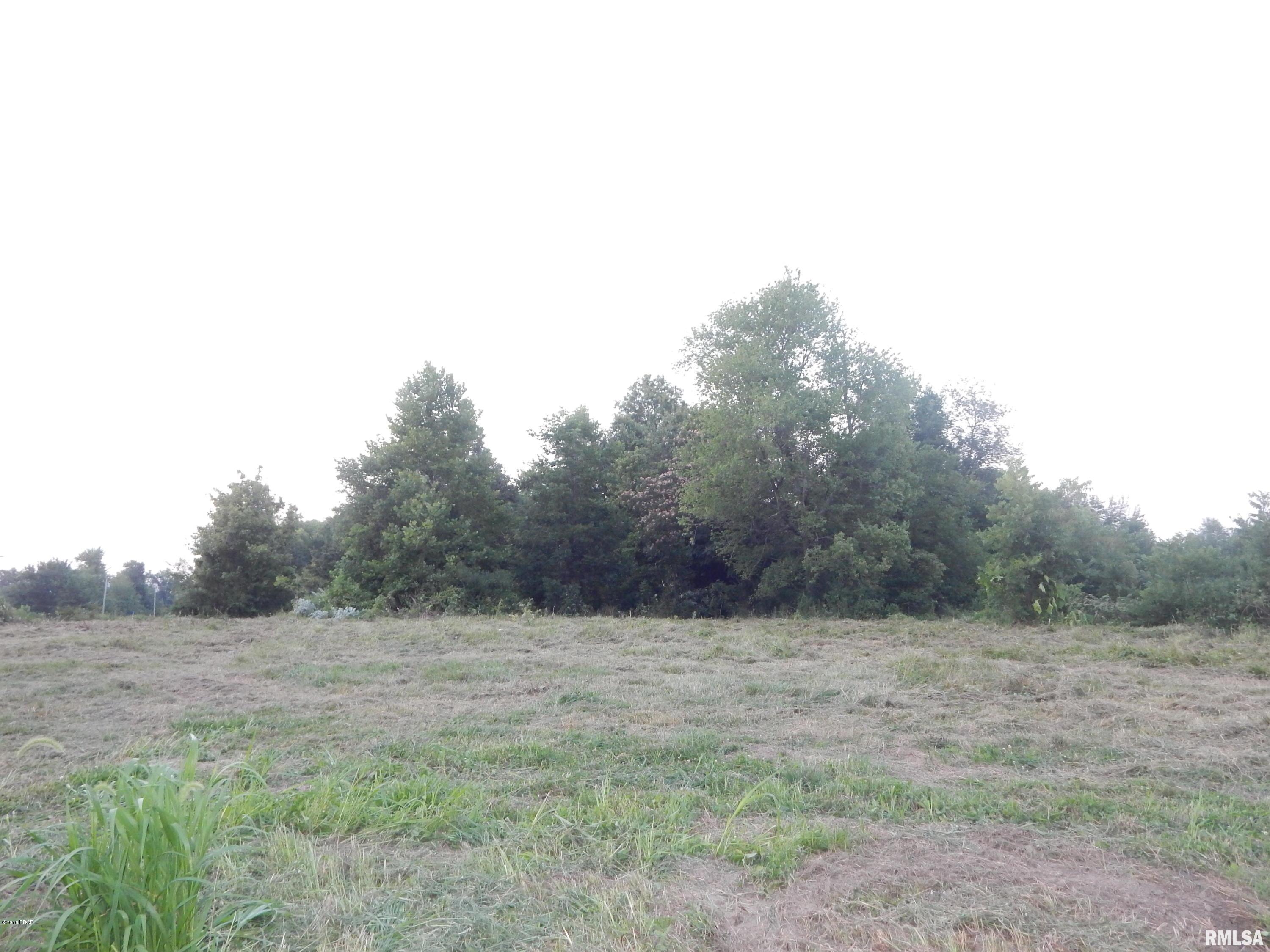 Tbd New Dennison Road Marion, IL 62959 - Photo 8 of 9