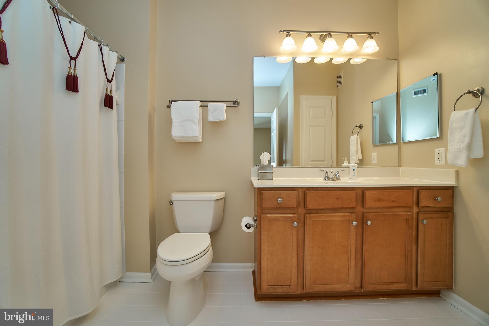 1520 North Point Drive, Unit 303 Reston, VA 20194 - Photo 17 of 29 En suite master bath. Linen closet, too.