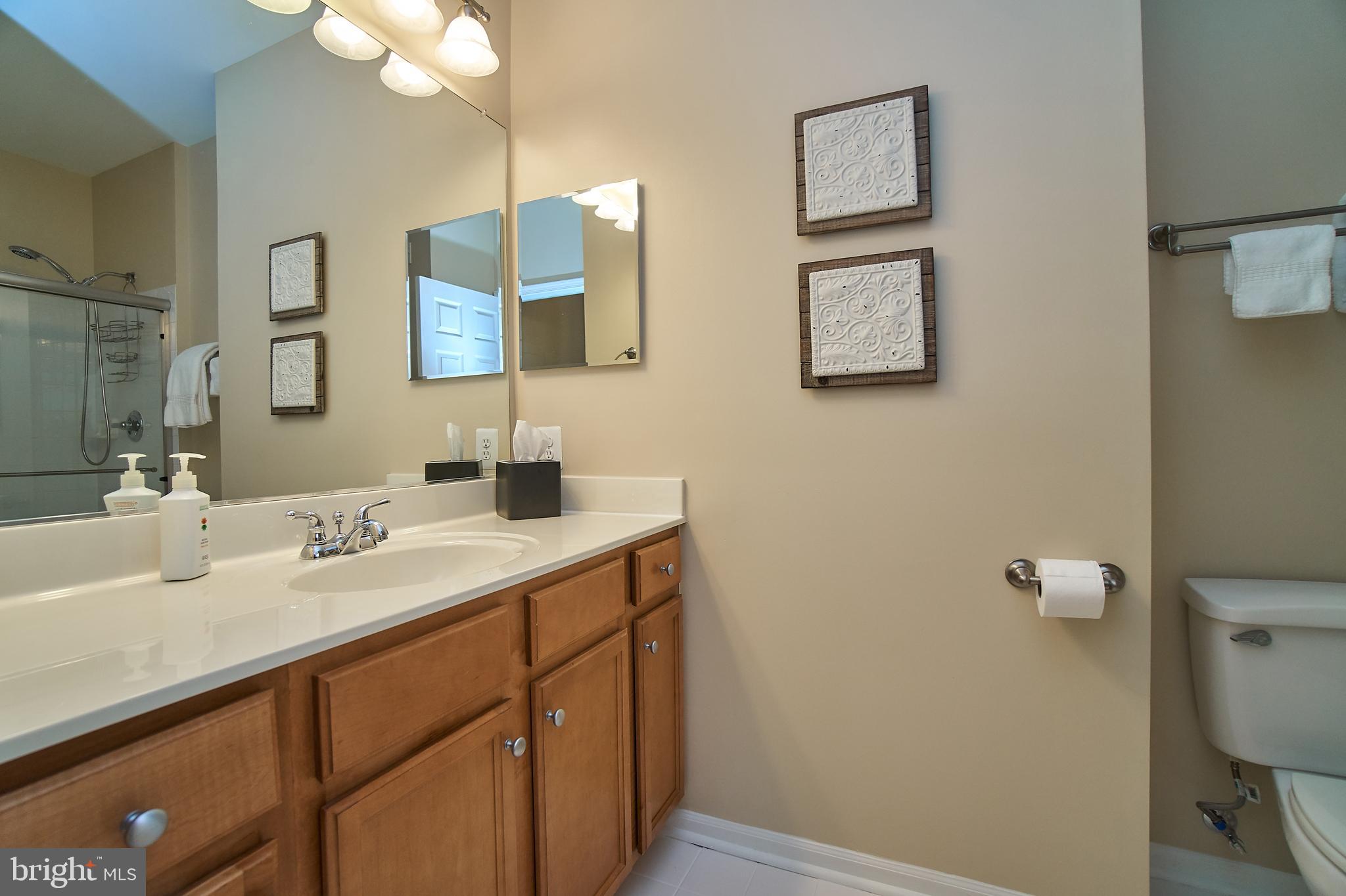 1520 North Point Drive, Unit 303 Reston, VA 20194 - Photo 19 of 29 Spacious hall bath has large shower with new door