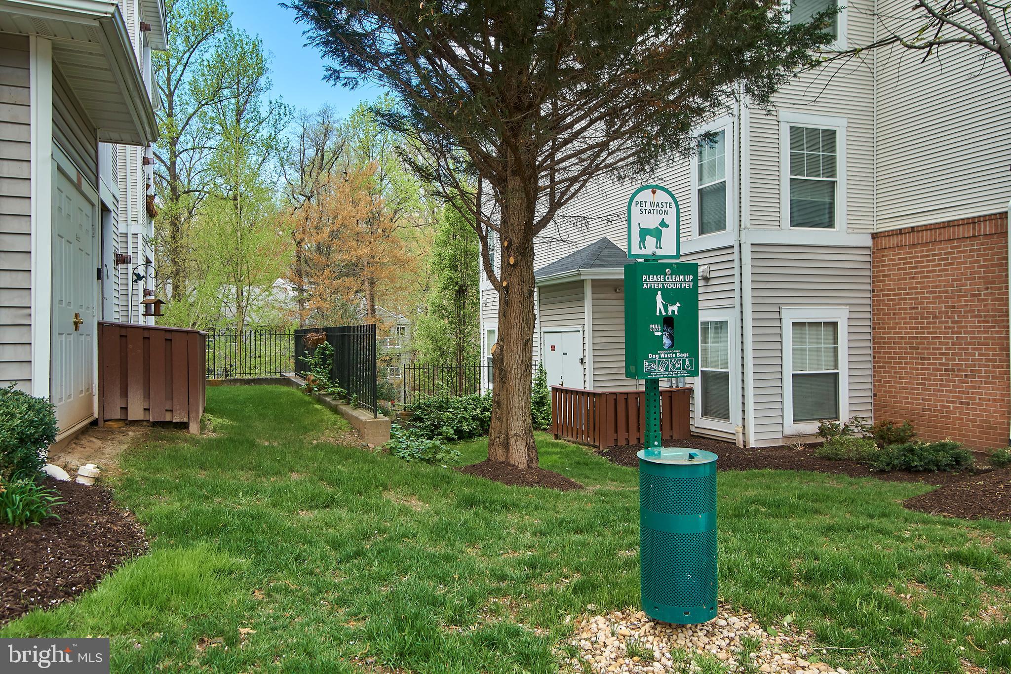 1520 North Point Drive, Unit 303 Reston, VA 20194 - Photo 27 of 29 Pet friendly community. Car wash area, too.
