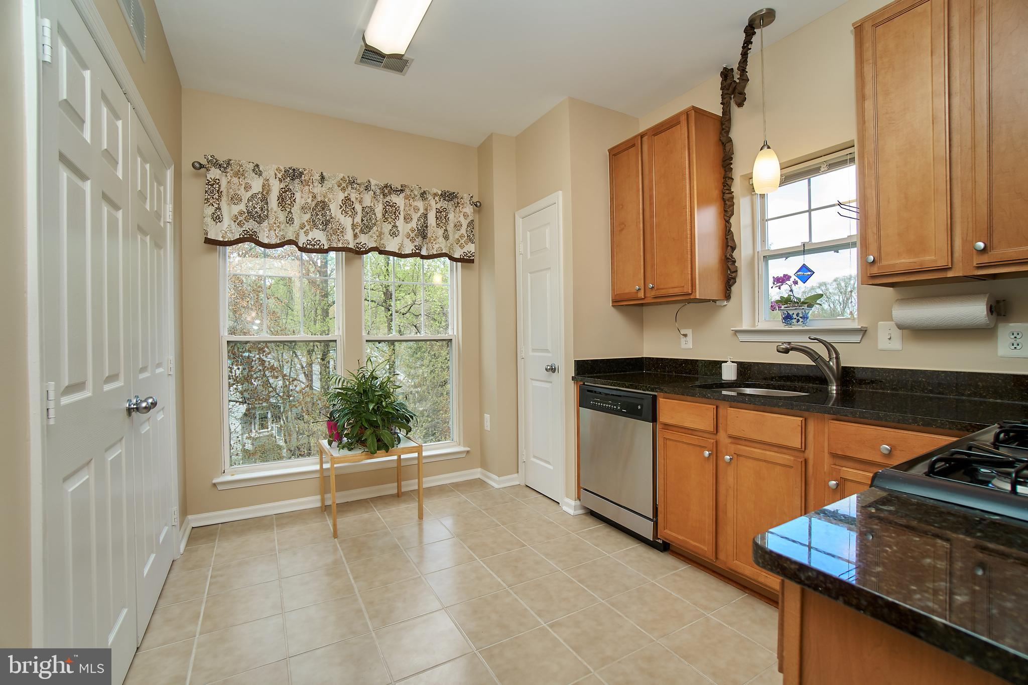 1520 North Point Drive, Unit 303 Reston, VA 20194 - Photo 8 of 29 Spacious sunny kitchen. Double doors to wash/dryer