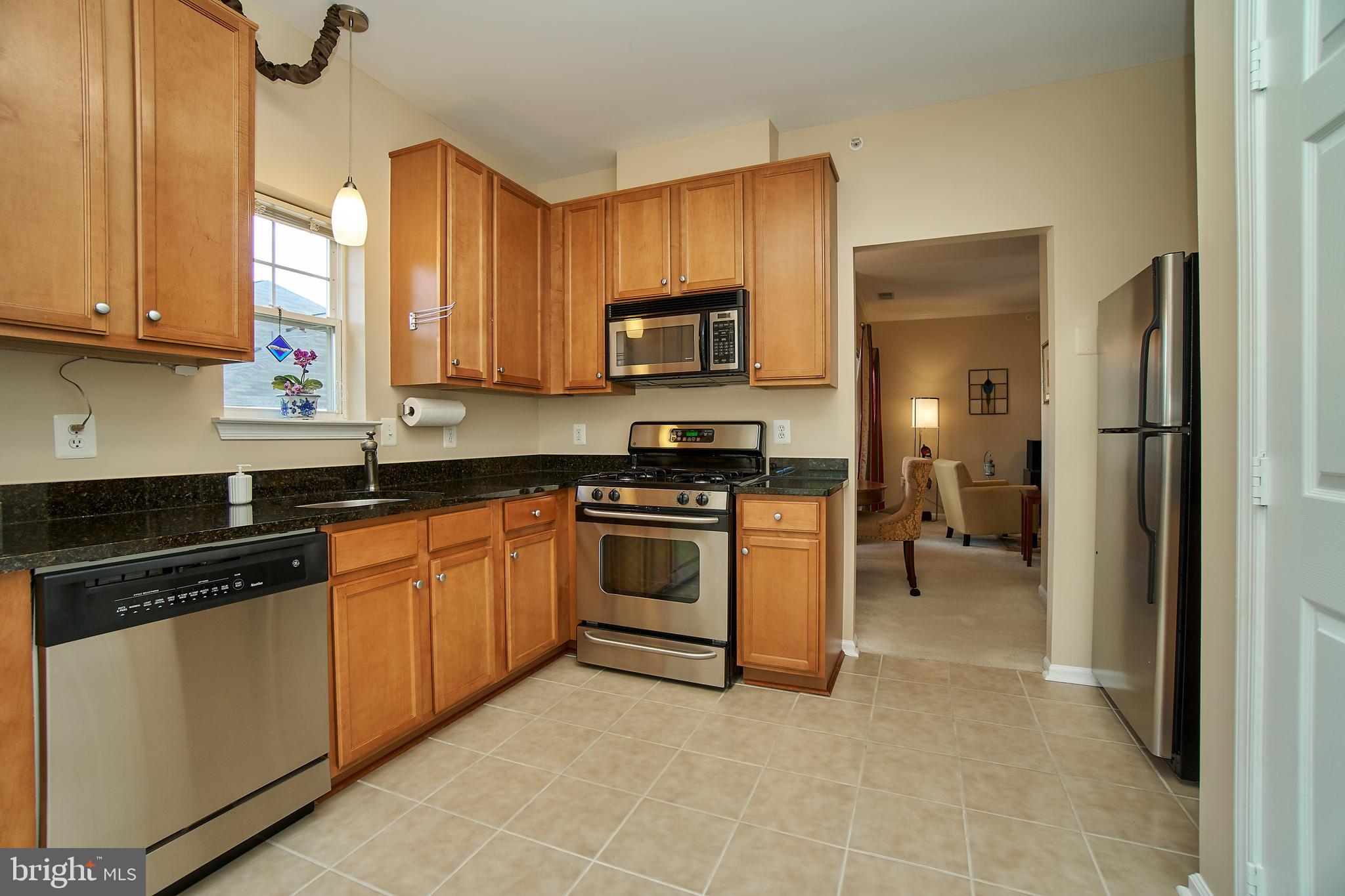 1520 North Point Drive, Unit 303 Reston, VA 20194 - Photo 10 of 29 Plenty of counter space.