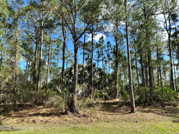 a view of outdoor space