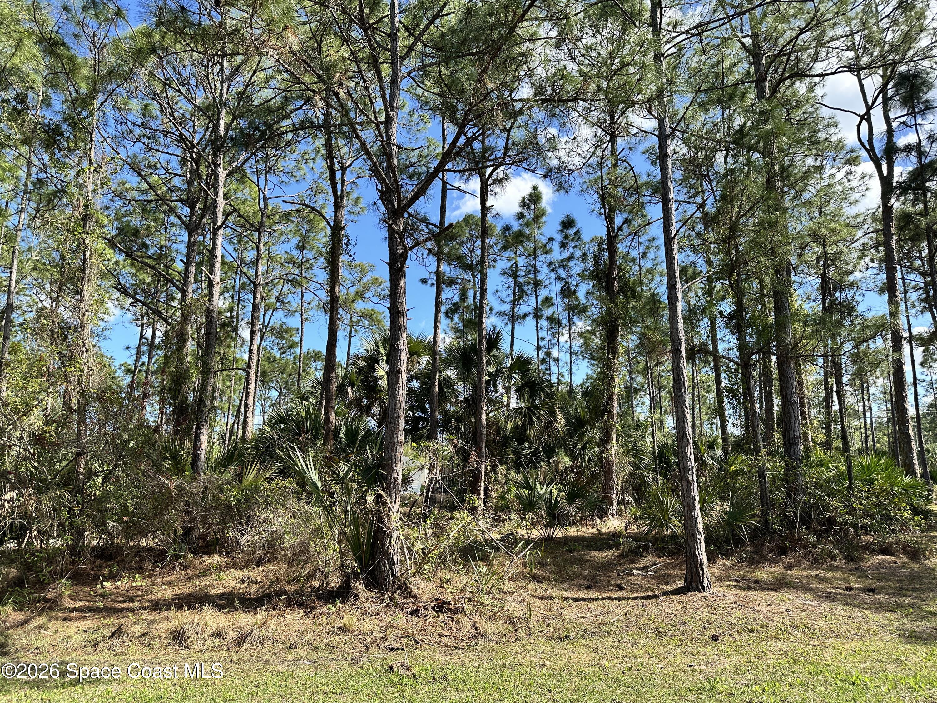 602 Flynn Street Southeast Melbourne, FL 32909 - Photo 1 of 3 IMG_6207