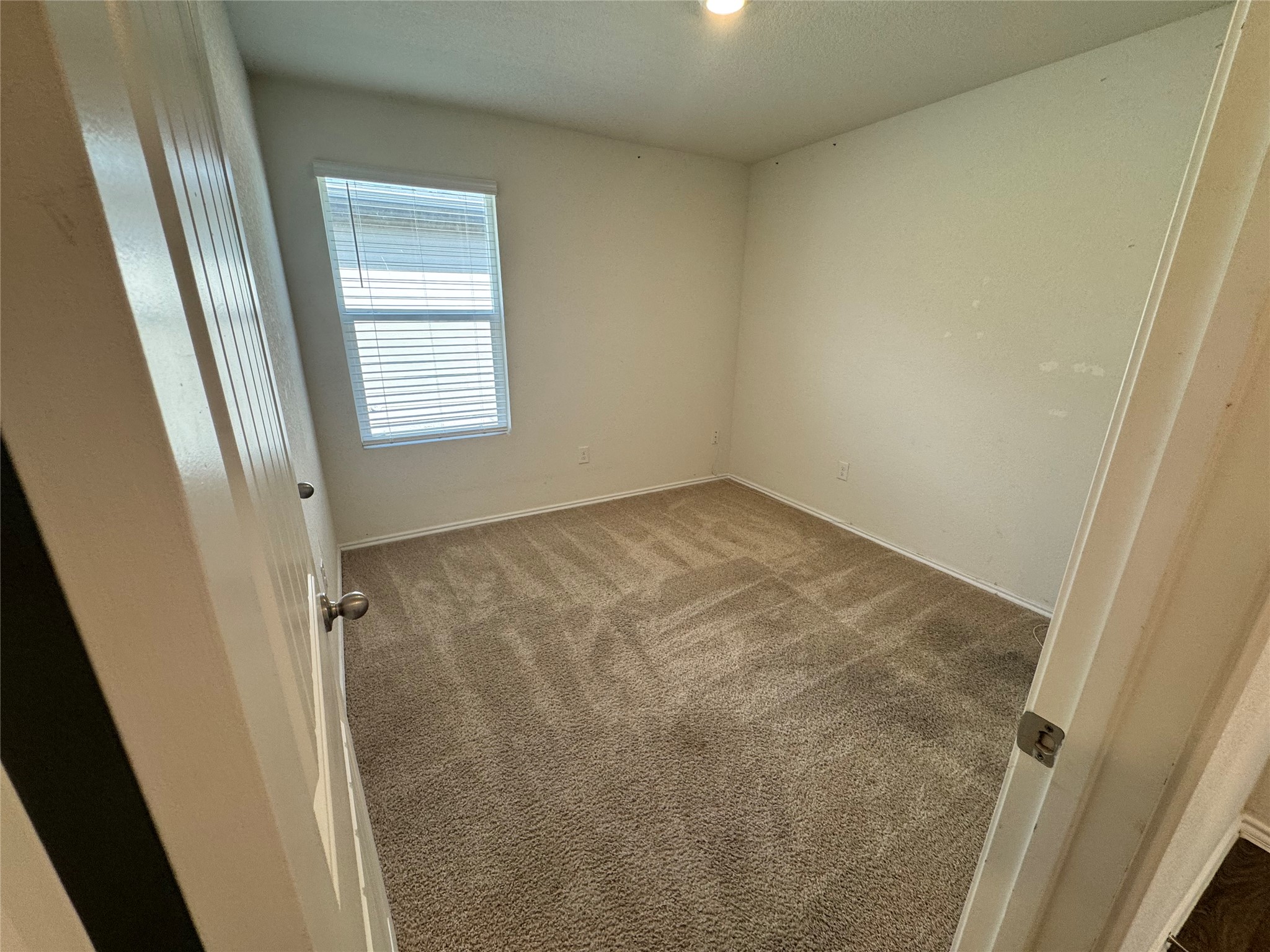 11820 Rush Lane Elgin, TX 78621 - Photo 19 of 31 A well-lit bedroom features plush carpeting and window blinds, providing a comfortable and private retreat.