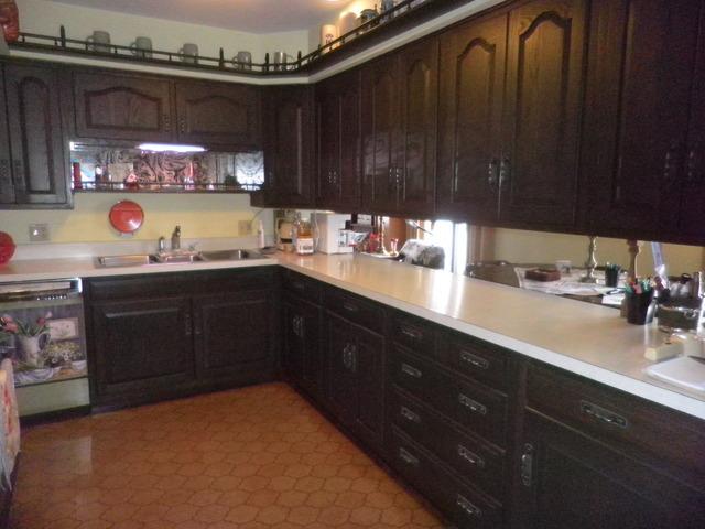 547 Aberdeen Road Frankfort, IL 60423 - Photo 6 of 22