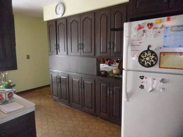 547 Aberdeen Road Frankfort, IL 60423 - Photo 7 of 22
