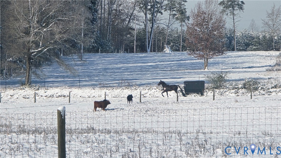 1192 West Store Road Halifax, VA 24558 - Photo 44 of 53