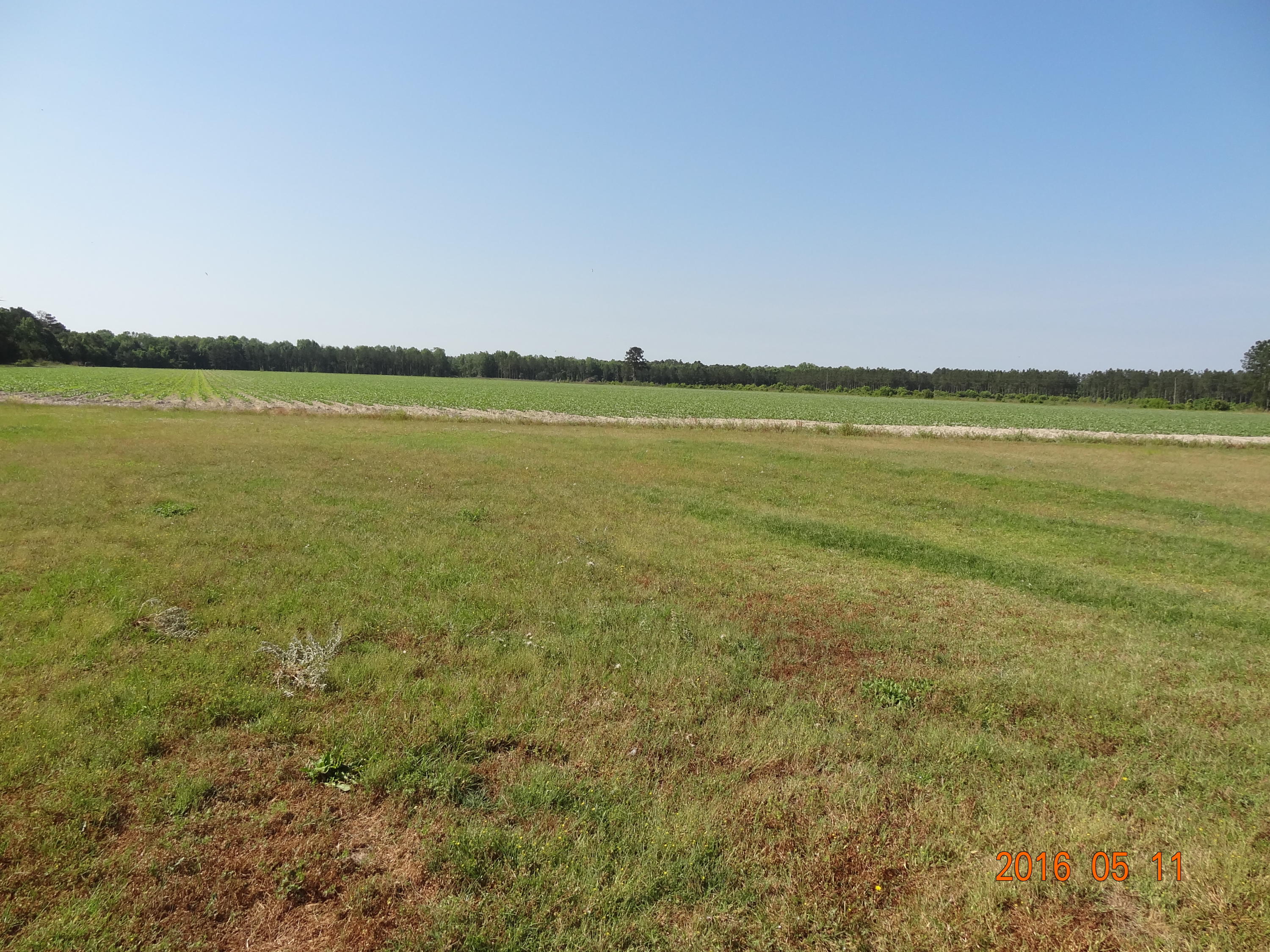 733 Memory Drive Ruffin, SC 29475 - Photo 21 of 32 DSC05230