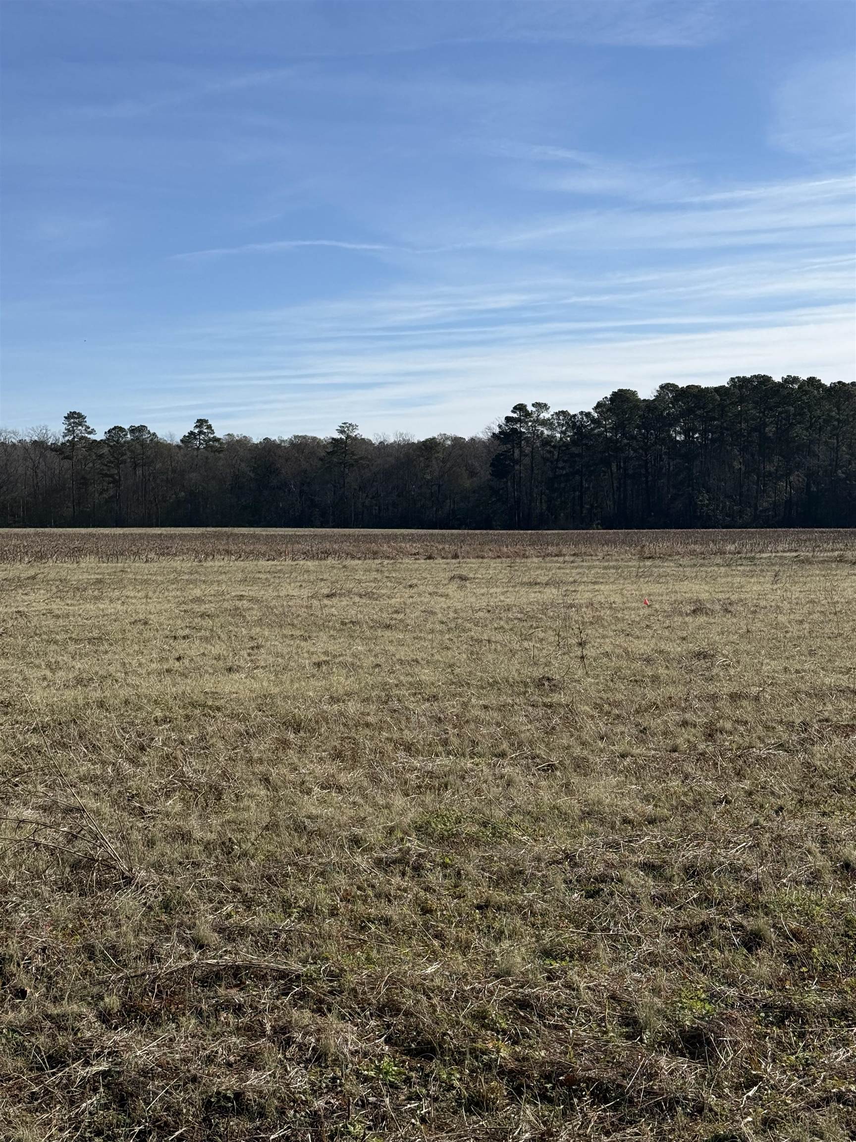 Lot 4 Johnson Shelly Road Conway, SC 29526 - Photo 4 of 10