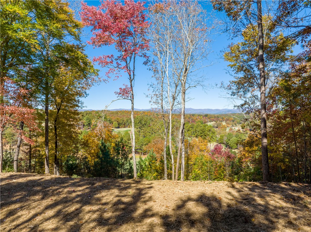 Lot 78 Eagle Ridge Way, Unit HR78 Salem, SC 29676 - Photo 1 of 20 Gallery Image 1