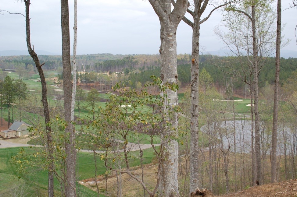 Lot 78 Eagle Ridge Way, Unit HR78 Salem, SC 29676 - Photo 7 of 20 Gallery Image 7