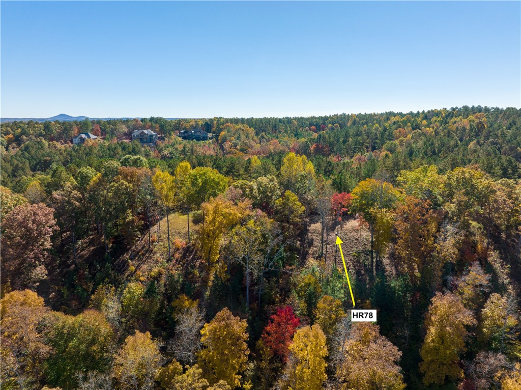 Lot 78 Eagle Ridge Way, Unit HR78 Salem, SC 29676 - Photo 9 of 20 Gallery Image 9