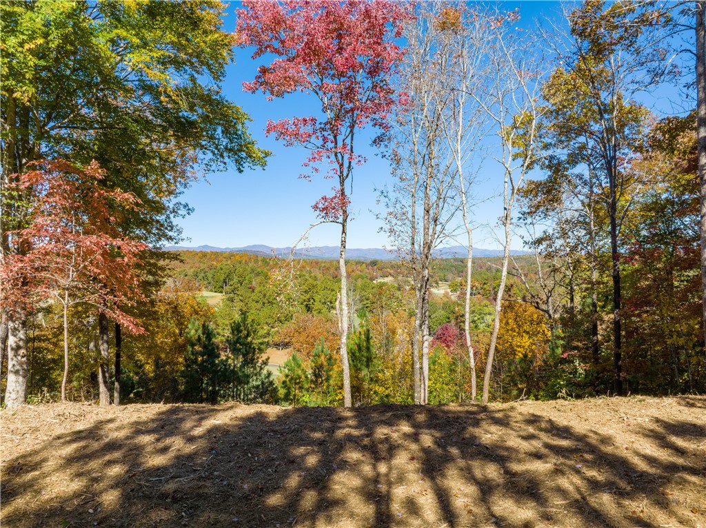 Lot 78 Eagle Ridge Way, Unit HR78 Salem, SC 29676 - Photo 10 of 20 Gallery Image 10