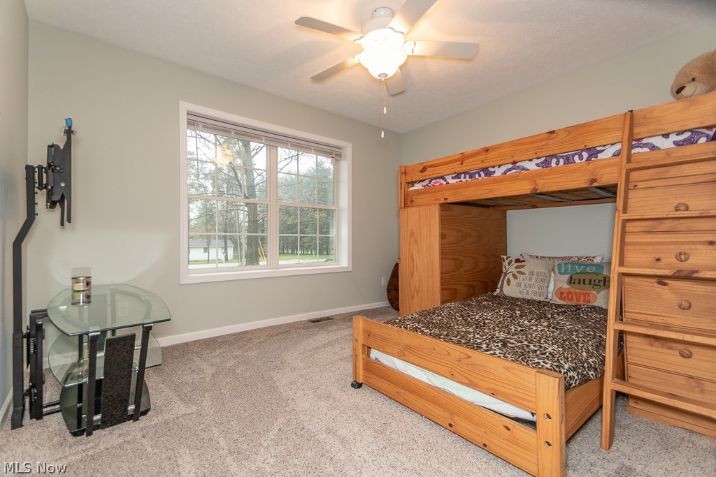 11745 Colburn Road Chardon, OH 44024 - Photo 23 of 34