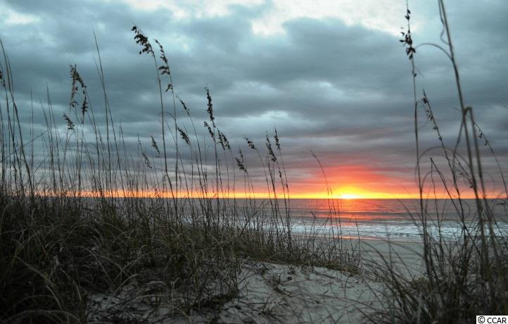 413 Oaklanding Lane Murrells Inlet, SC 29576 - Photo 18 of 19 Gallery Image 18