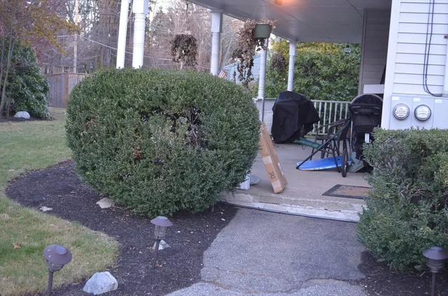 a view of a pathway of a yard