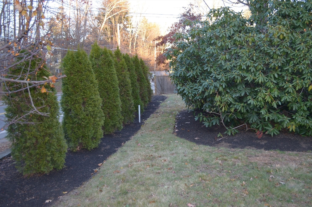 509 Bay Road, Unit 1L Hamilton, MA 01982 - Photo 10 of 10 a view of a pathway of a yard