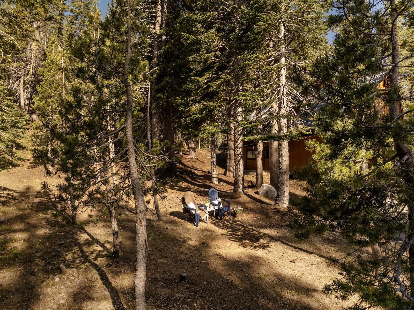1023 Serene Road Soda Springs, CA 95728 - Photo 18 of 25