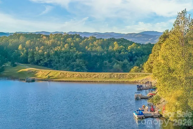 a view of house with patio outdoor seating and covered with tall trees