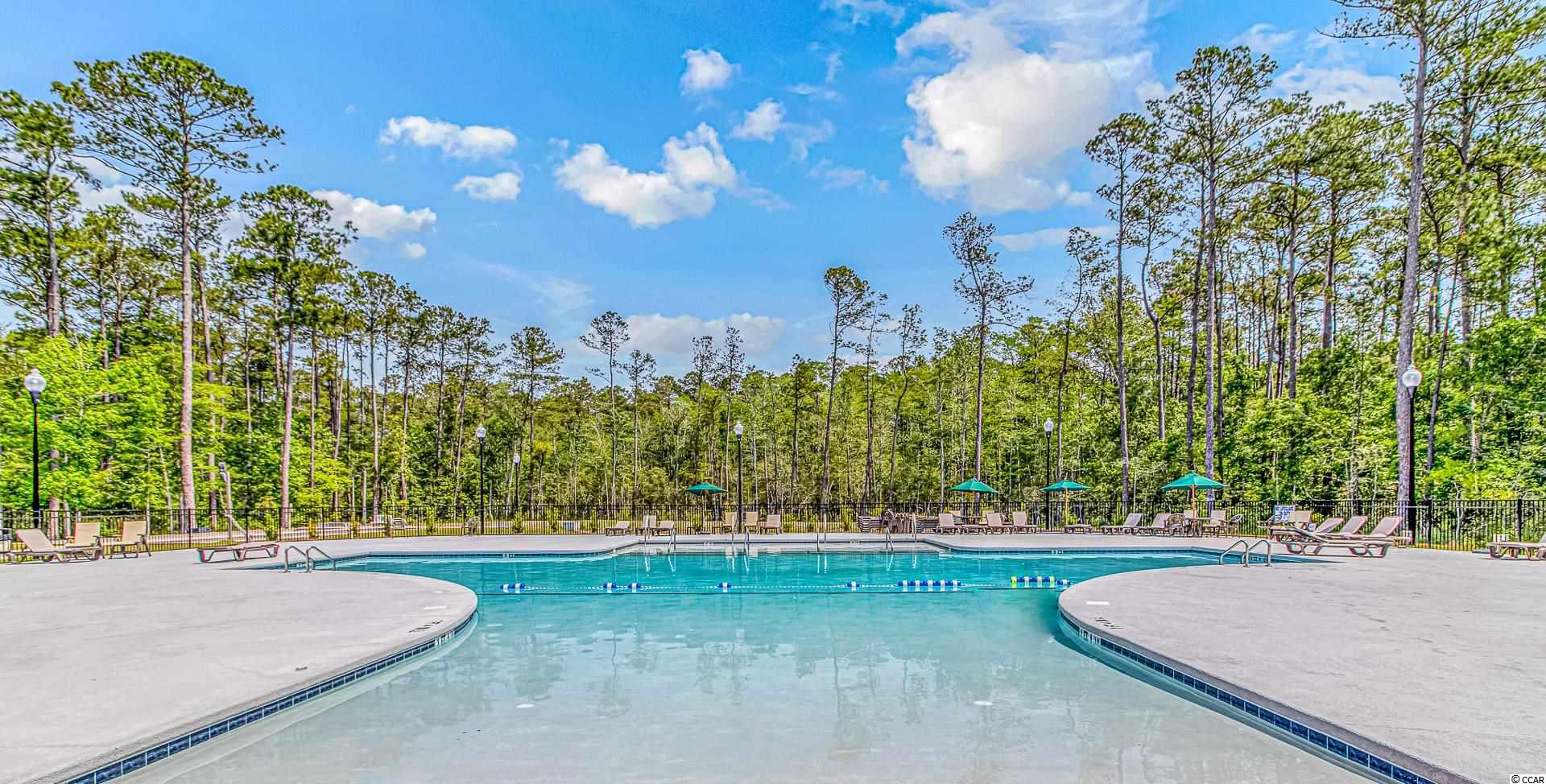 300 West End Court Murrells Inlet, SC 29576 - Photo 40 of 40