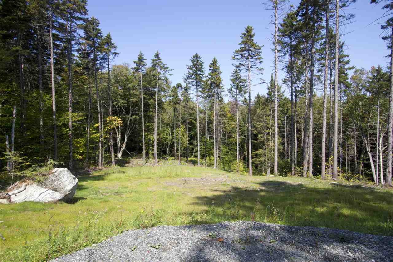 Lot 1 Acer Road, Unit 1 Jamaica, VT 05343 - Photo 5 of 9 Gallery Image 5