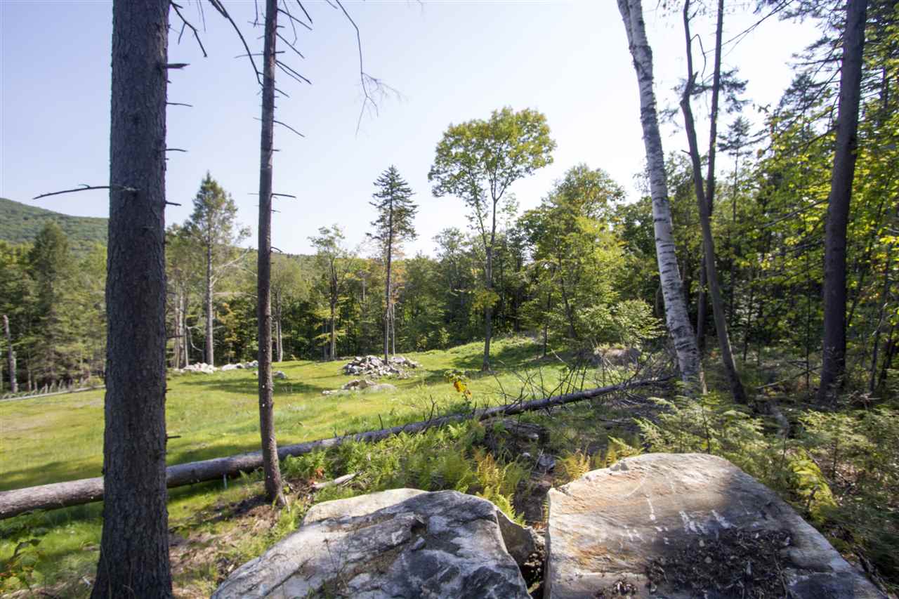Lot 1 Acer Road, Unit 1 Jamaica, VT 05343 - Photo 8 of 9 Gallery Image 8