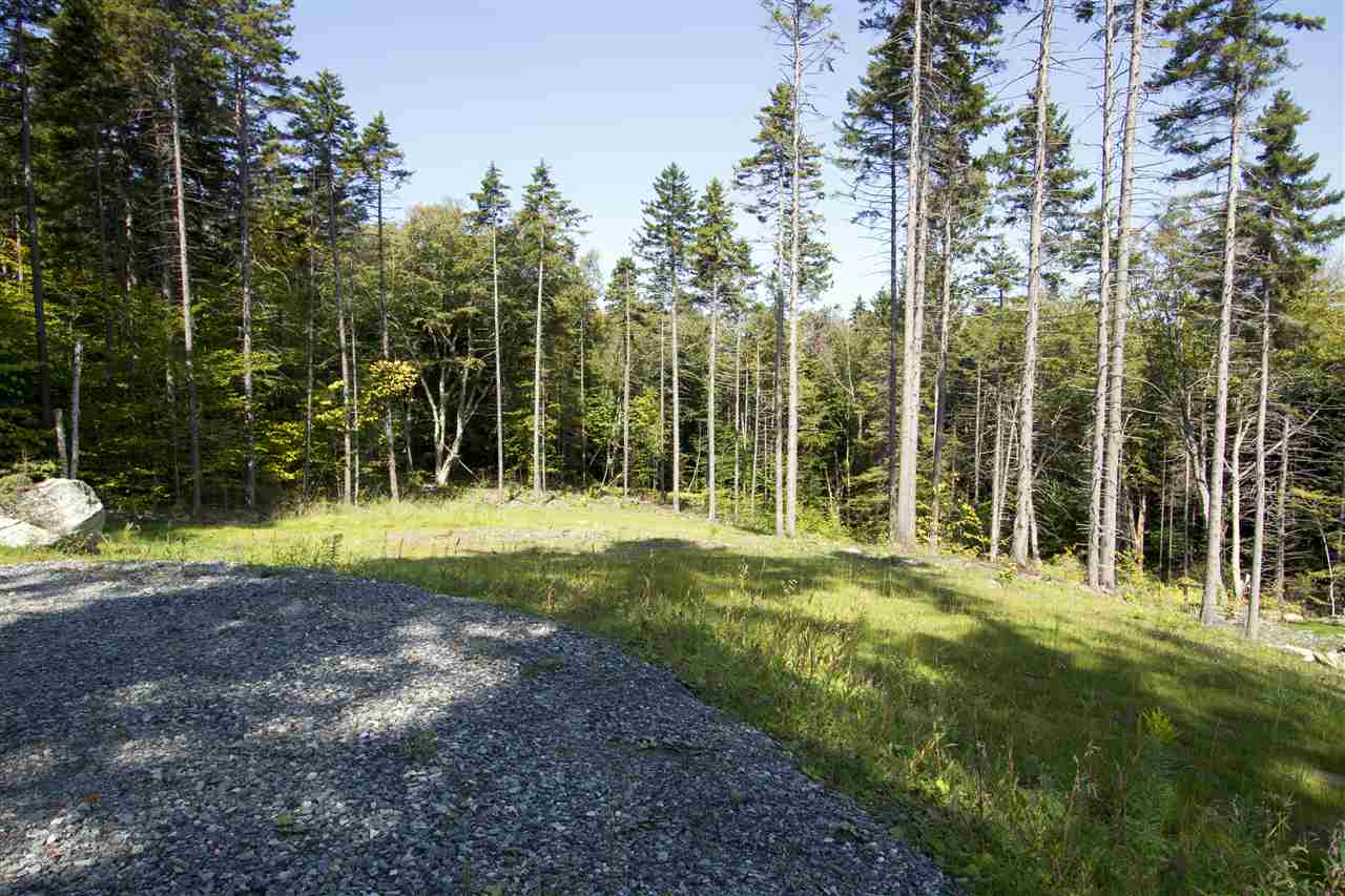 Lot 1 Acer Road, Unit 1 Jamaica, VT 05343 - Photo 9 of 9 Gallery Image 9