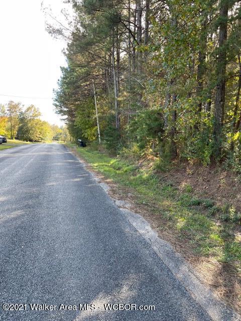 Airport Road Haleyville, AL 35565 - Photo 2 of 2 Gallery Image 2