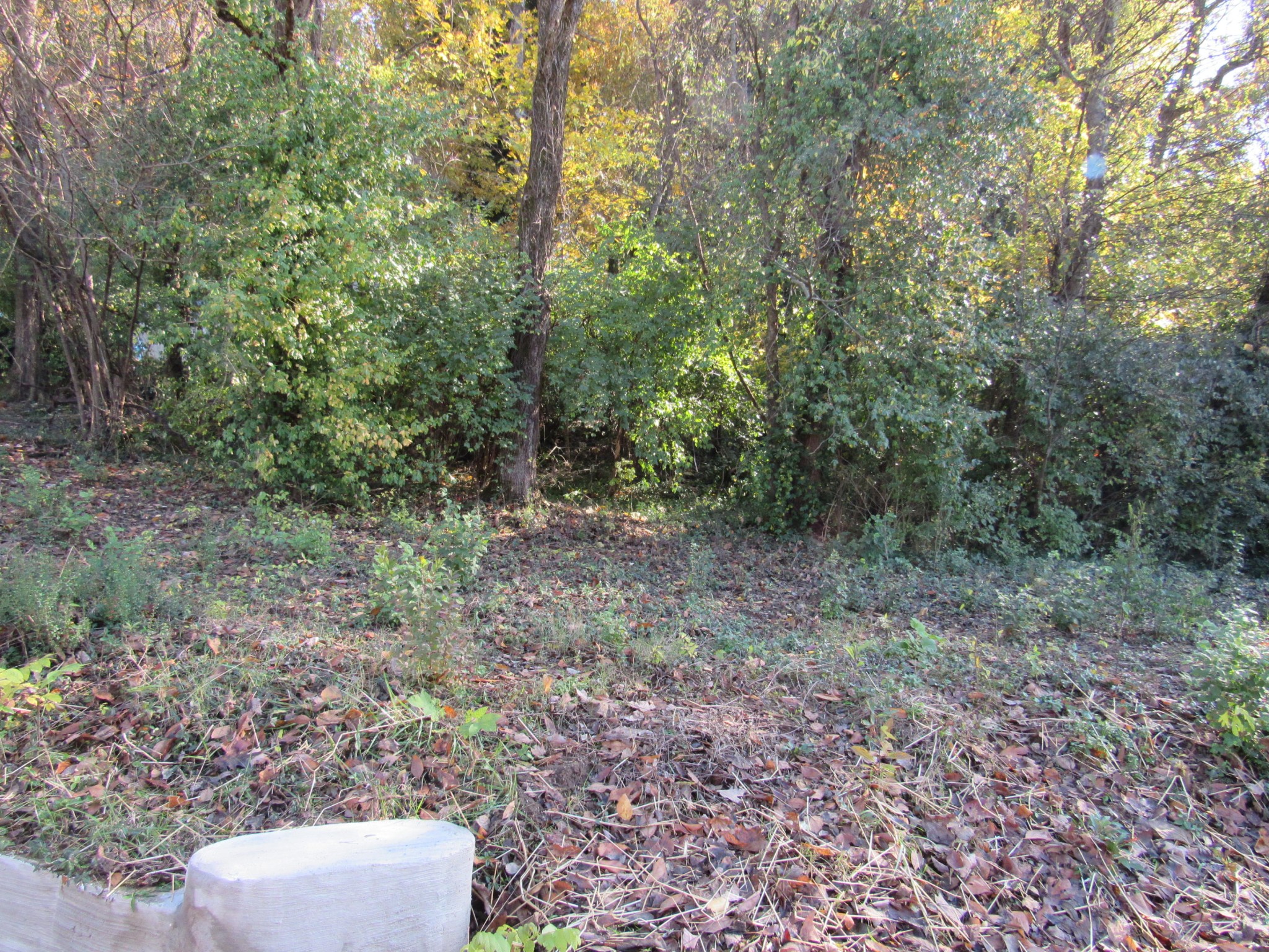 4210 Reed Road Louisville, TN 37777 - Photo 23 of 30 Gallery Image 23