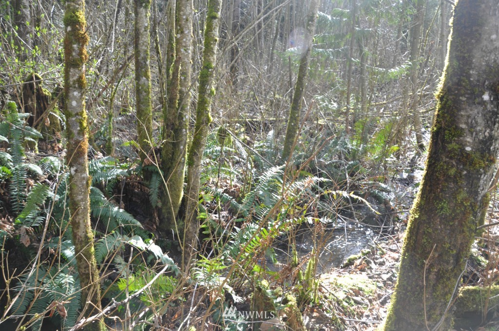 3321 Kelly Road Bellingham, WA 98226 - Photo 12 of 22 Gallery Image 12