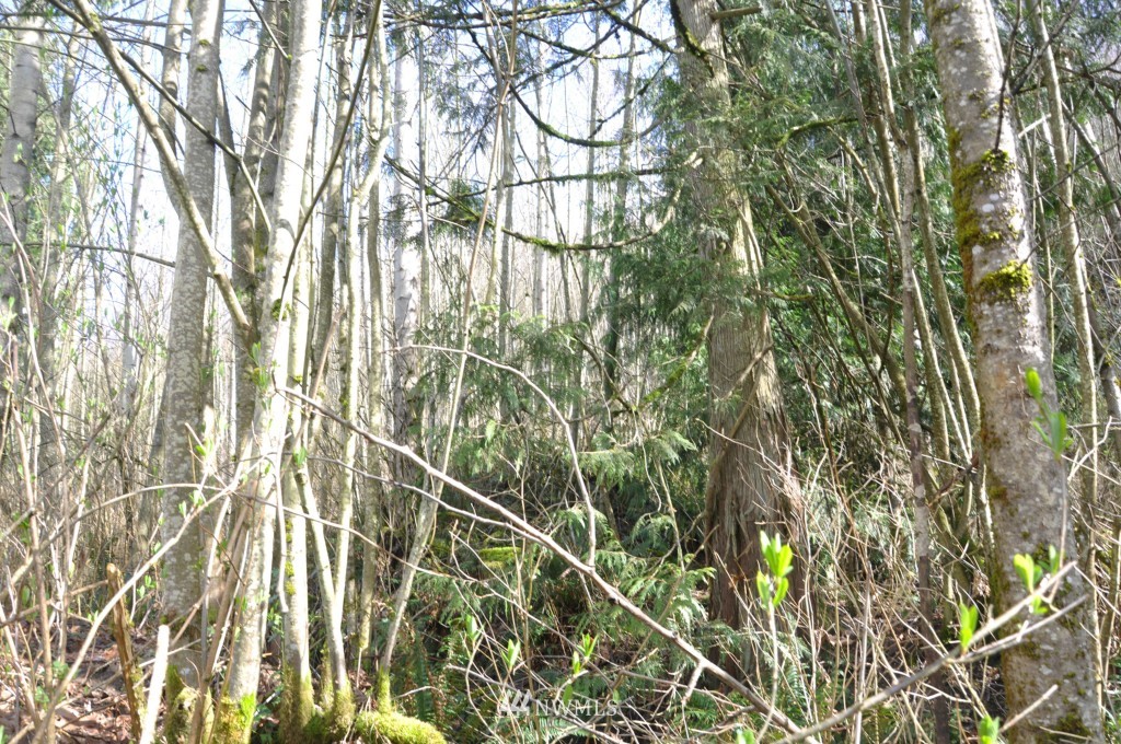 3321 Kelly Road Bellingham, WA 98226 - Photo 14 of 22 Gallery Image 14