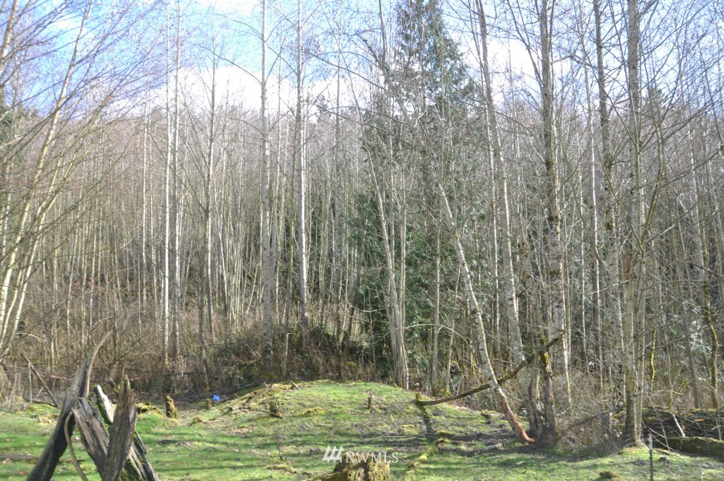 3321 Kelly Road Bellingham, WA 98226 - Photo 15 of 22 Gallery Image 15