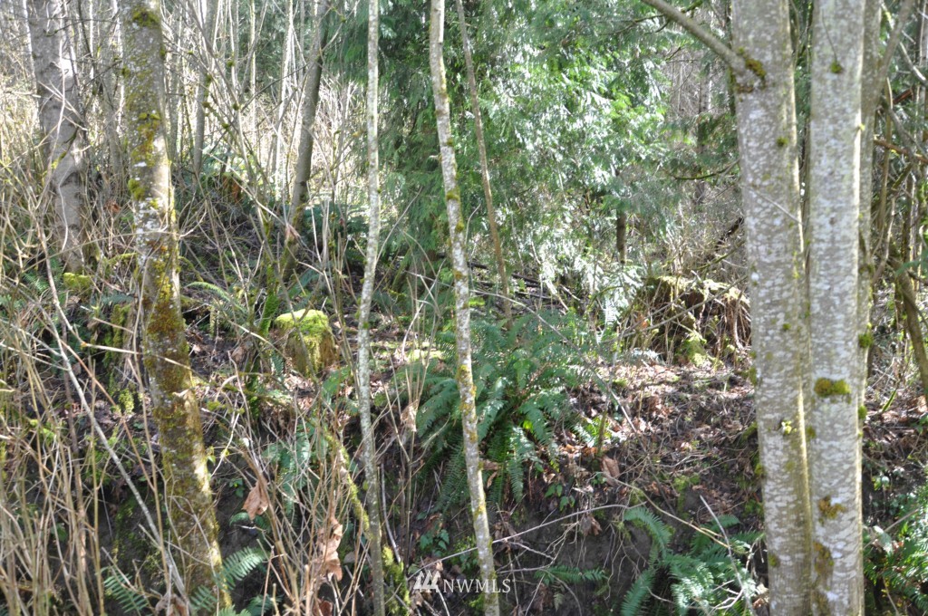 3321 Kelly Road Bellingham, WA 98226 - Photo 17 of 22 Gallery Image 17