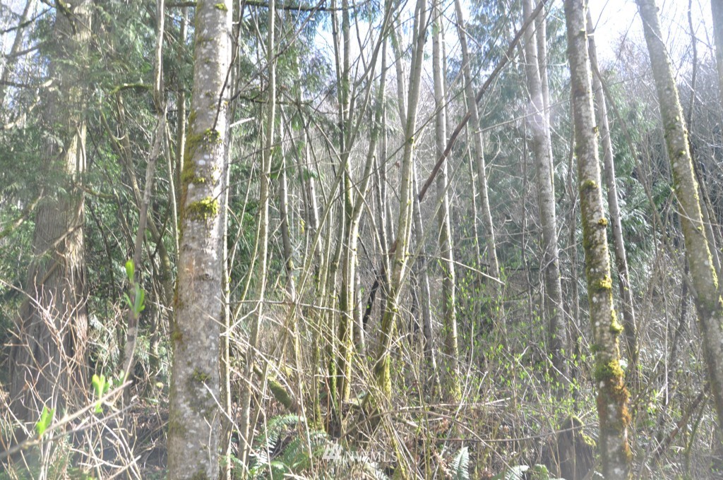 3321 Kelly Road Bellingham, WA 98226 - Photo 19 of 22 Gallery Image 19
