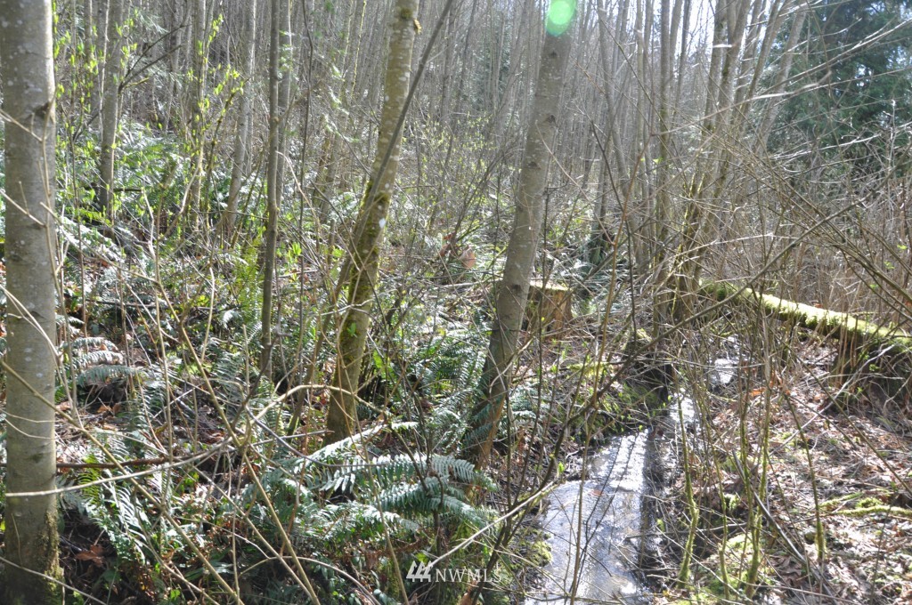 3321 Kelly Road Bellingham, WA 98226 - Photo 20 of 22 Gallery Image 20