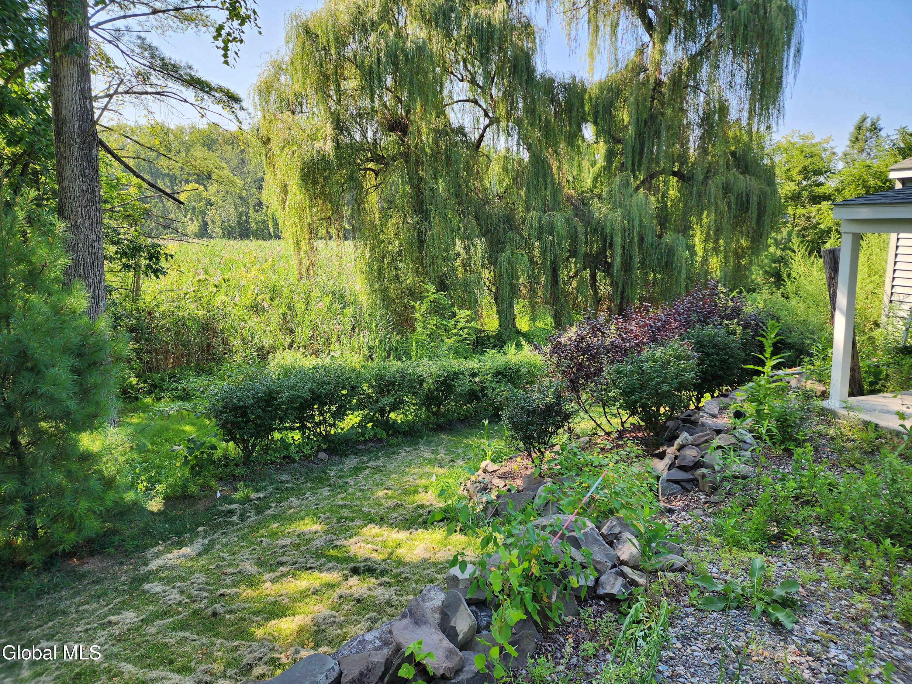 1003 River Road Schodack, NY 12156 - Photo 57 of 64 20250812_161504